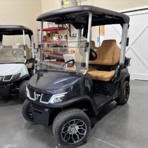 Brand New Custom 2025 Tara Spirit Pro ( With 9inch Head Unit For Speed & Battery % ) For Sale