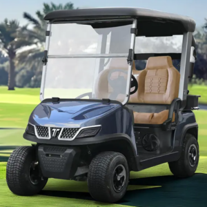 NEW 2026 TARA SPIRIT PRO LITHIUM ION BATTERY! For Sale